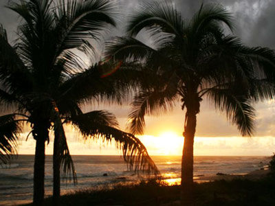 Hotel Casa Viva Troncones Exterior photo